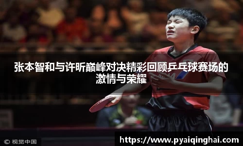 张本智和与许昕巅峰对决精彩回顾乒乓球赛场的激情与荣耀